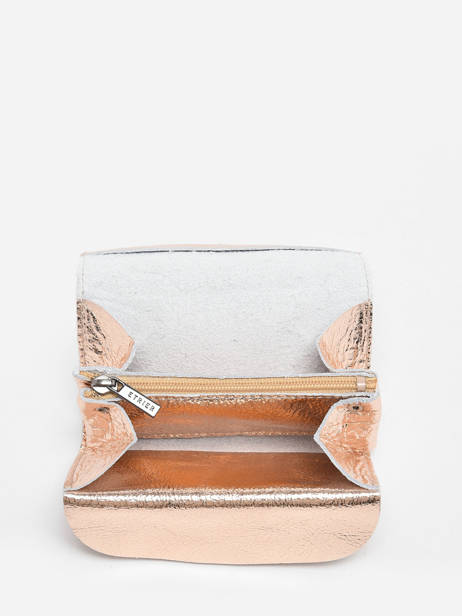 Porte-monnaie Etincelle IrisÃ©e Cuir Etrier Or etincelle irisee EETI650 vue secondaire 1